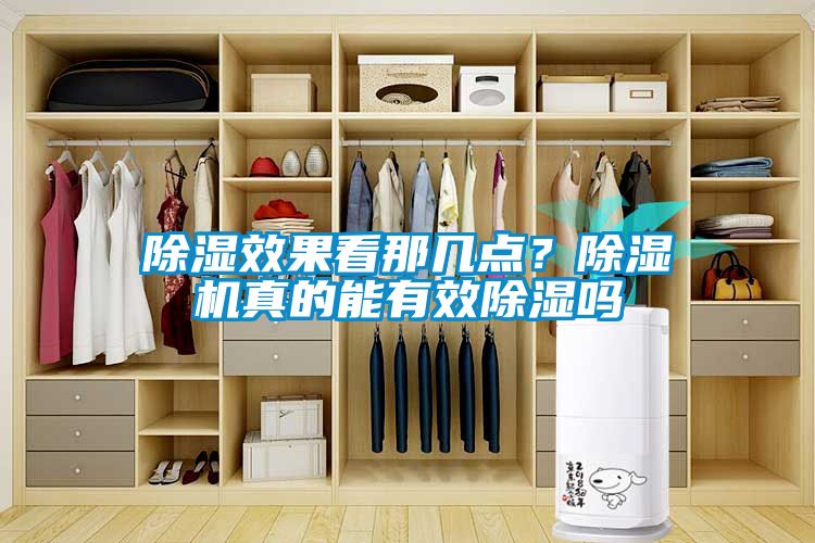 除湿效果看那几点？91抖音免费看片真的能有效除湿吗