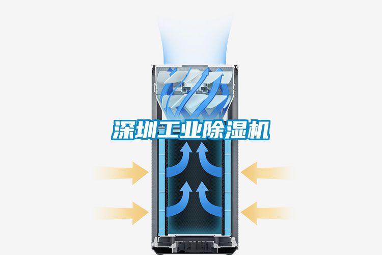 深圳工业91抖音免费看片