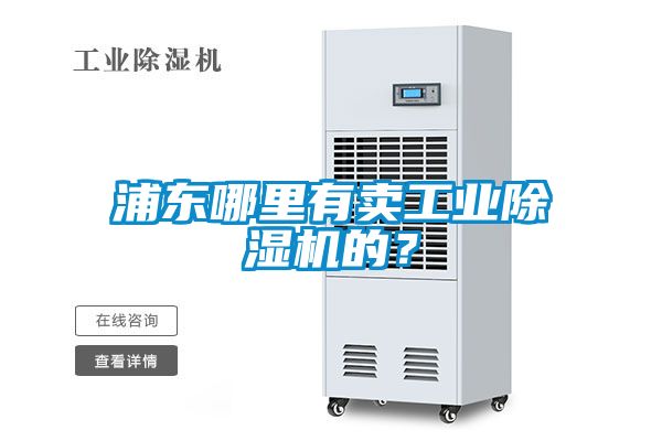 浦东哪里有卖工业91抖音免费看片的？