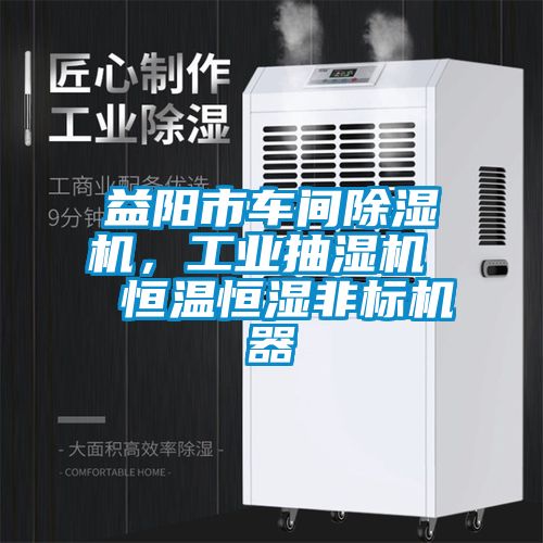 益阳市车间91抖音免费看片，工业抽湿机  恒温恒湿非标机器