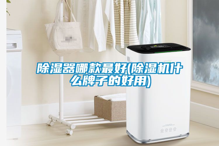 除湿器哪款最好(91抖音免费看片什么牌子的好用)