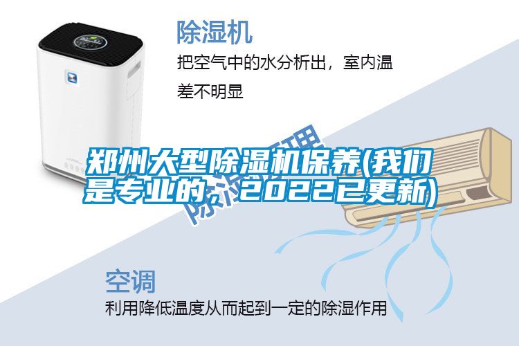 郑州大型91抖音免费看片保养(成人抖音在线下载是专业的，2022已更新)