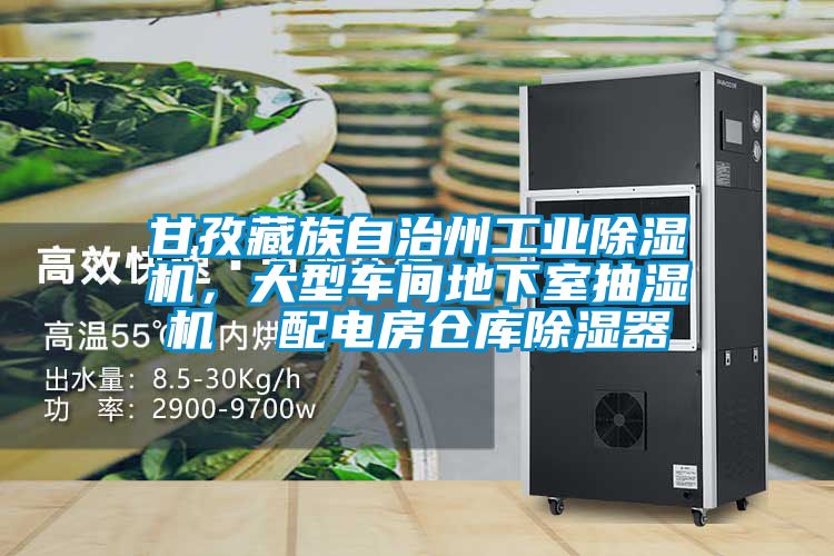 甘孜藏族自治州工业91抖音免费看片，大型车间地下室抽湿机  配电房仓库除湿器