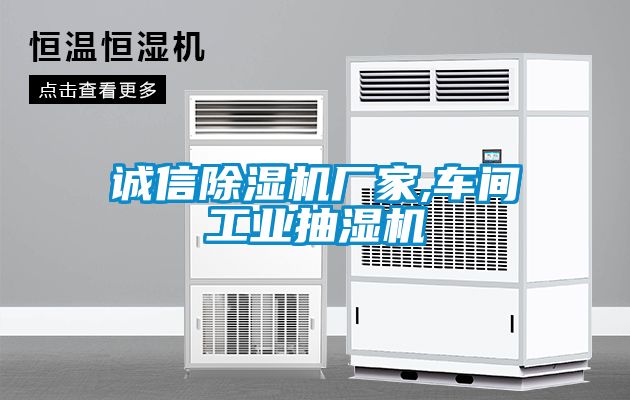 诚信91抖音免费看片厂家,车间工业抽湿机