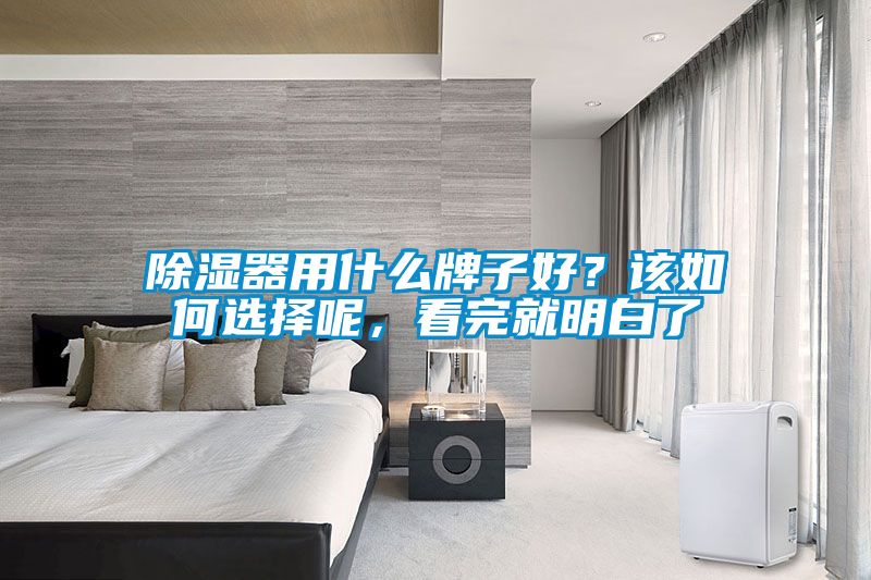 除湿器用什么牌子好？该如何选择呢，看完就明白了