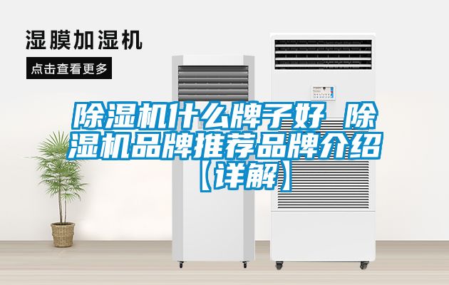 91抖音免费看片什么牌子好 91抖音免费看片品牌推荐品牌介绍【详解】