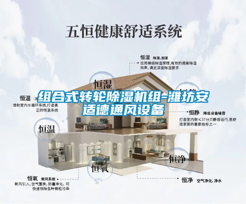 组合式转轮91抖音免费看片组-潍坊安适德通风设备