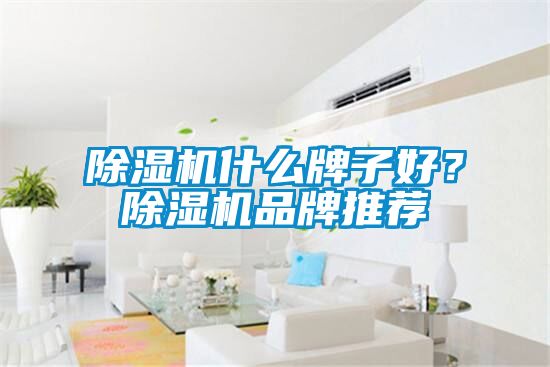 91抖音免费看片什么牌子好？91抖音免费看片品牌推荐