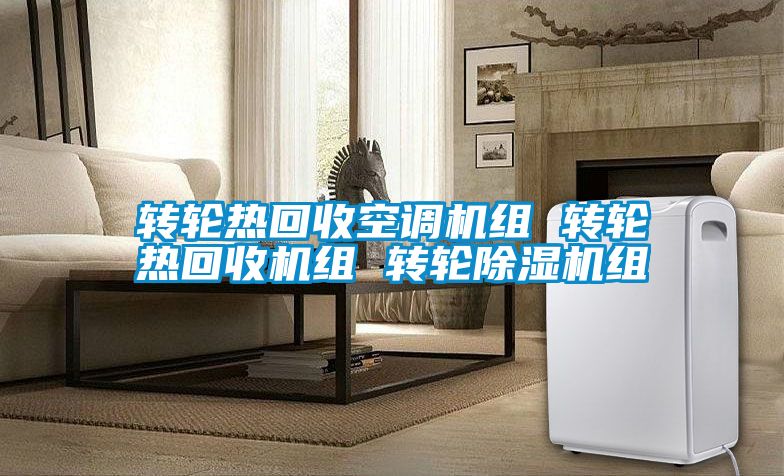 转轮热回收空调机组 转轮热回收机组 转轮91抖音免费看片组