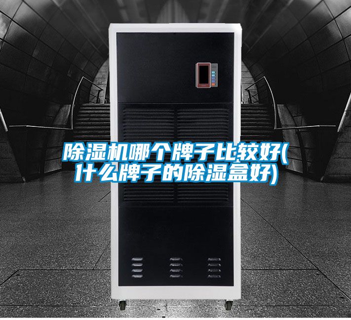 91抖音免费看片哪个牌子比较好(什么牌子的除湿盒好)