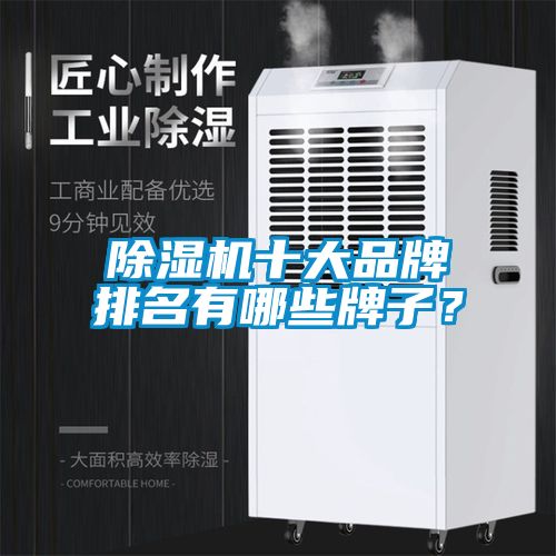 91抖音免费看片十大品牌排名有哪些牌子？