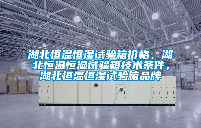 湖北恒温恒湿试验箱价格，湖北恒温恒湿试验箱技术条件，湖北恒温恒湿试验箱品牌