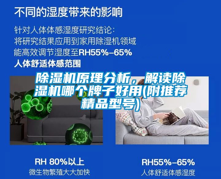 91抖音免费看片原理分析，解读91抖音免费看片哪个牌子好用(附推荐精品型号)