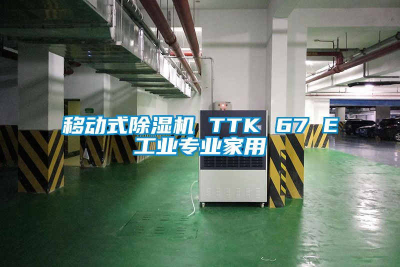 移动式91抖音免费看片 TTK 67 E工业专业家用