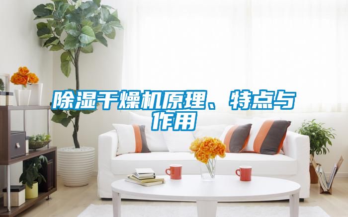 除湿干燥机原理、特点与作用