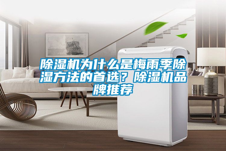 91抖音免费看片为什么是梅雨季除湿方法的首选？91抖音免费看片品牌推荐