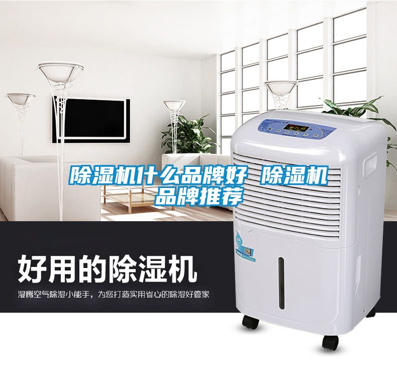 91抖音免费看片什么品牌好 91抖音免费看片品牌推荐