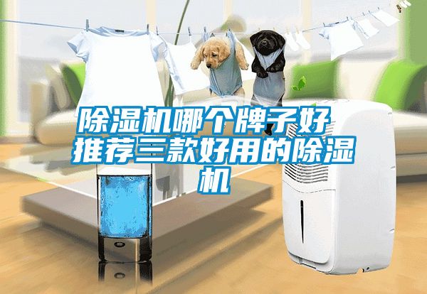 91抖音免费看片哪个牌子好 推荐三款好用的91抖音免费看片