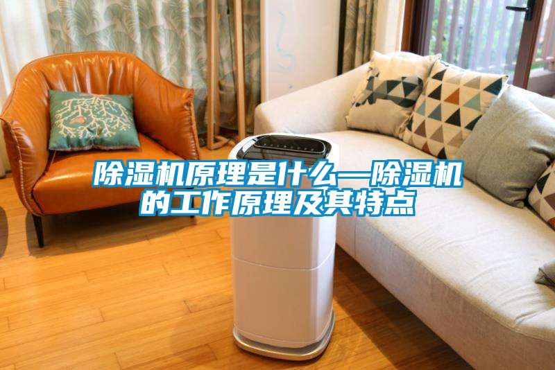 91抖音免费看片原理是什么—91抖音免费看片的工作原理及其特点