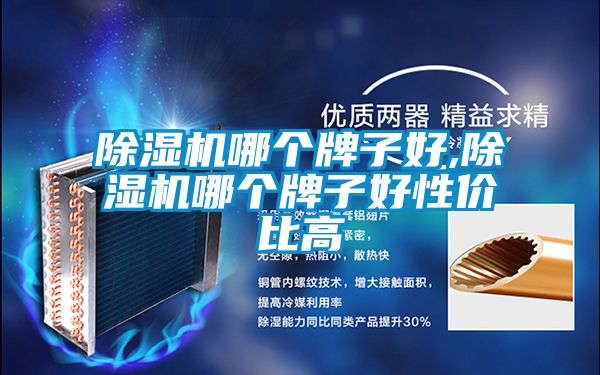 91抖音免费看片哪个牌子好,91抖音免费看片哪个牌子好性价比高