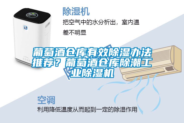 葡萄酒仓库有效除湿办法推荐？葡萄酒仓库除潮工业91抖音免费看片