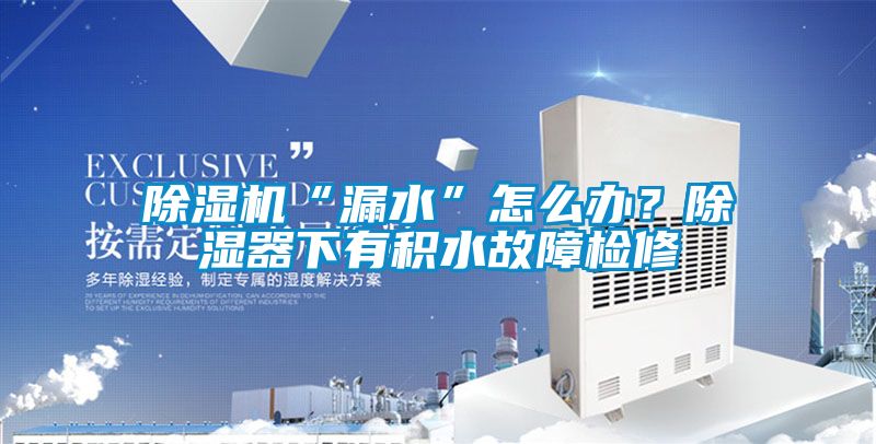 91抖音免费看片“漏水”怎么办？除湿器下有积水故障检修