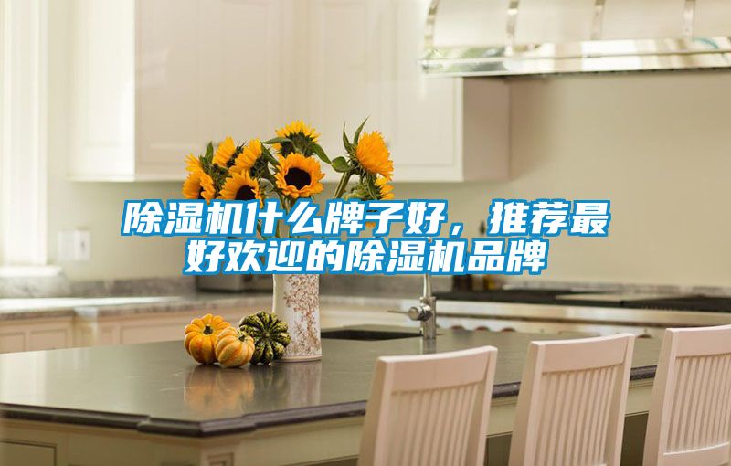 91抖音免费看片什么牌子好，推荐最好欢迎的91抖音免费看片品牌