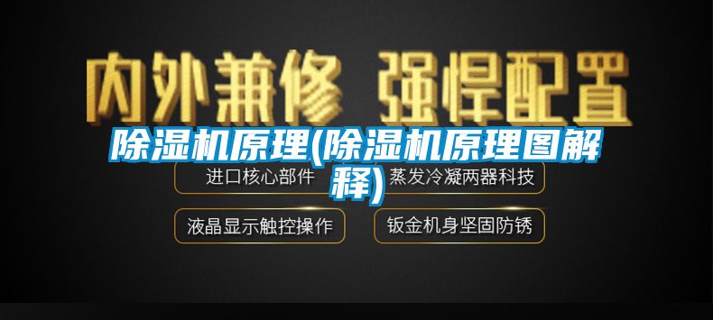 91抖音免费看片原理(91抖音免费看片原理图解释)