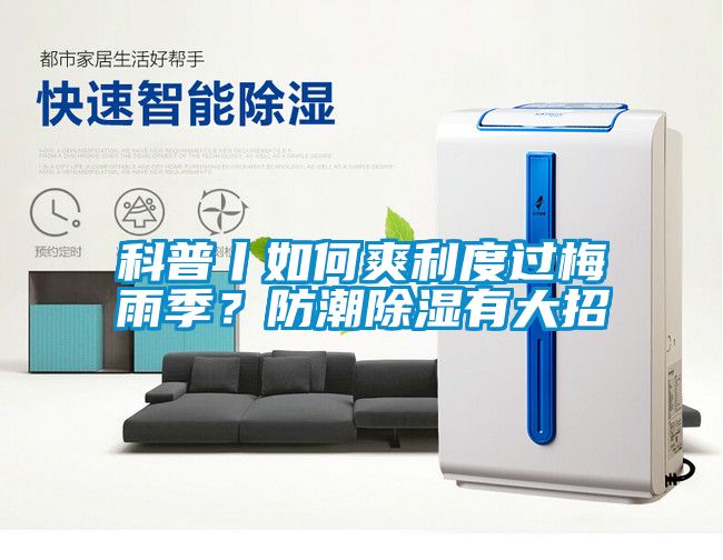 科普丨如何爽利度过梅雨季？防潮除湿有大招