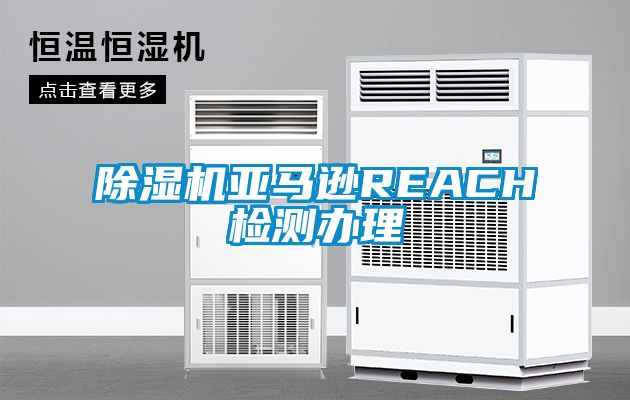 91抖音免费看片亚马逊REACH检测办理