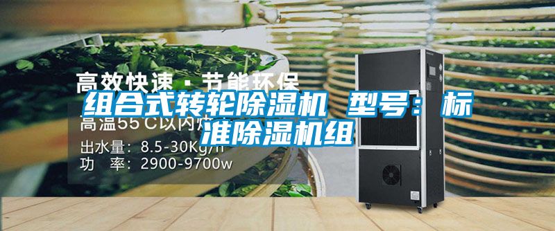 组合式转轮91抖音免费看片 型号：标准91抖音免费看片组