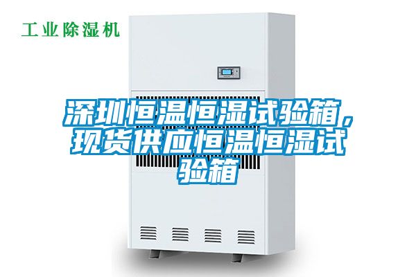 深圳恒温恒湿试验箱，现货供应恒温恒湿试验箱