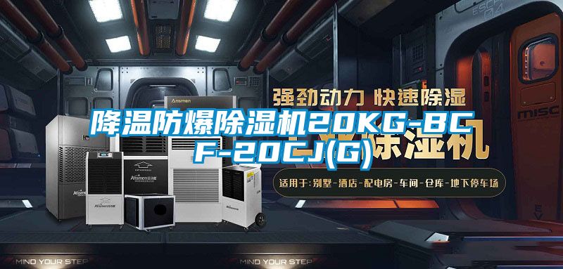 降温防爆91抖音免费看片20KG-BCF-20CJ(G)