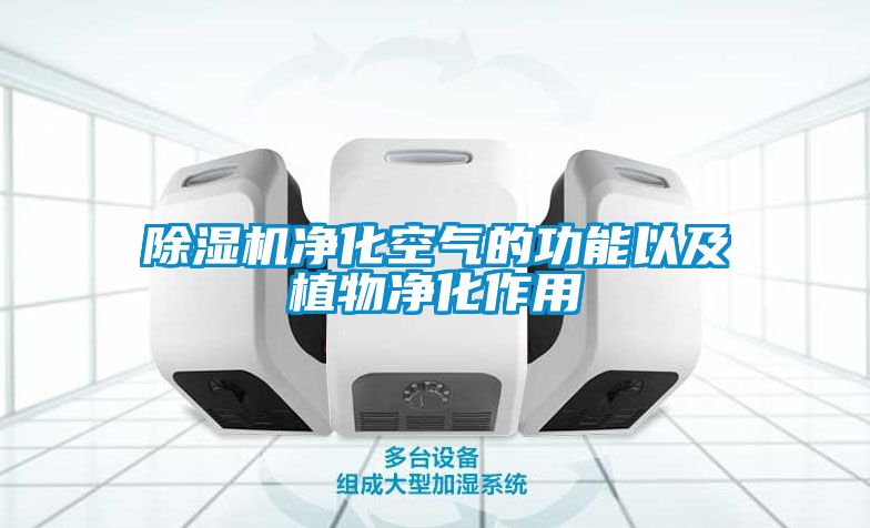 91抖音免费看片净化空气的功能以及植物净化作用
