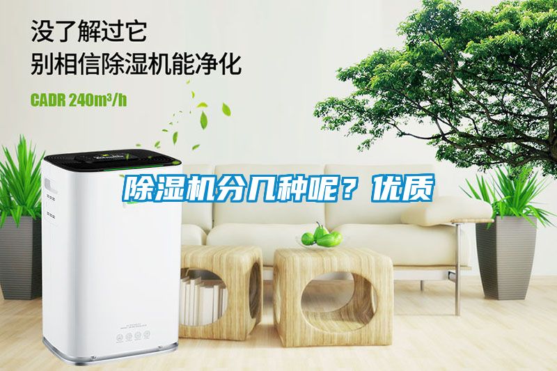 91抖音免费看片分几种呢？优质