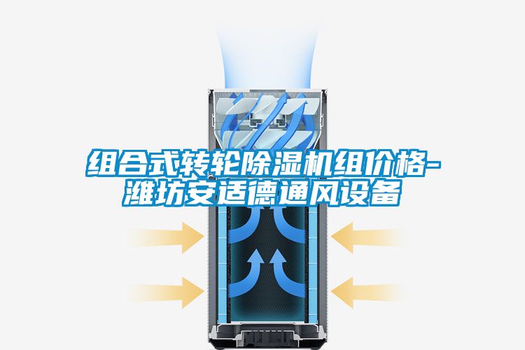 组合式转轮91抖音免费看片组价格-潍坊安适德通风设备