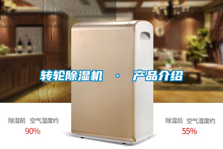 转轮91抖音免费看片 · 产品介绍