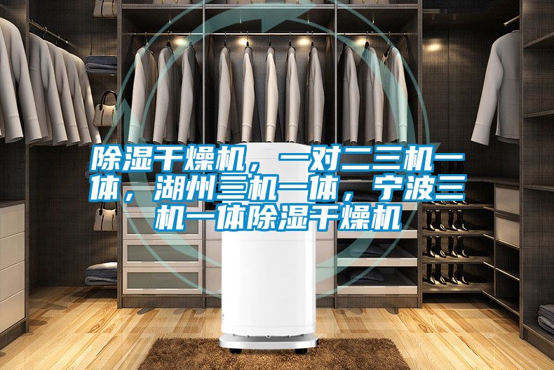 除湿干燥机，一对二三机一体，湖州三机一体，宁波三机一体除湿干燥机