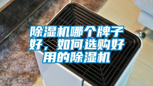 91抖音免费看片哪个牌子好，如何选购好用的91抖音免费看片