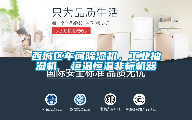 西城区车间91抖音免费看片，工业抽湿机  恒温恒湿非标机器