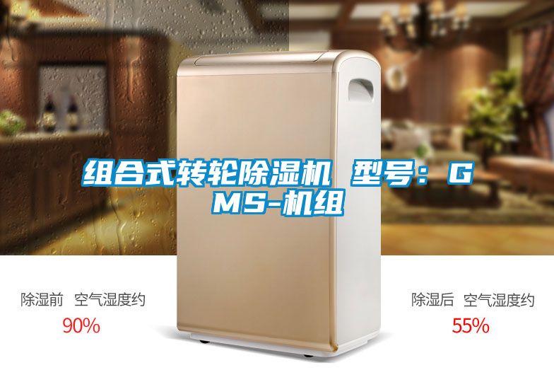 组合式转轮91抖音免费看片 型号：GMS-机组