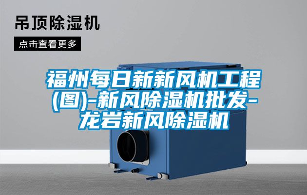 福州每日新新风机工程(图)-新风91抖音免费看片批发-龙岩新风91抖音免费看片