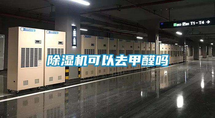 91抖音免费看片可以去甲醛吗