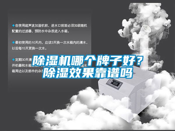 91抖音免费看片哪个牌子好？除湿效果靠谱吗