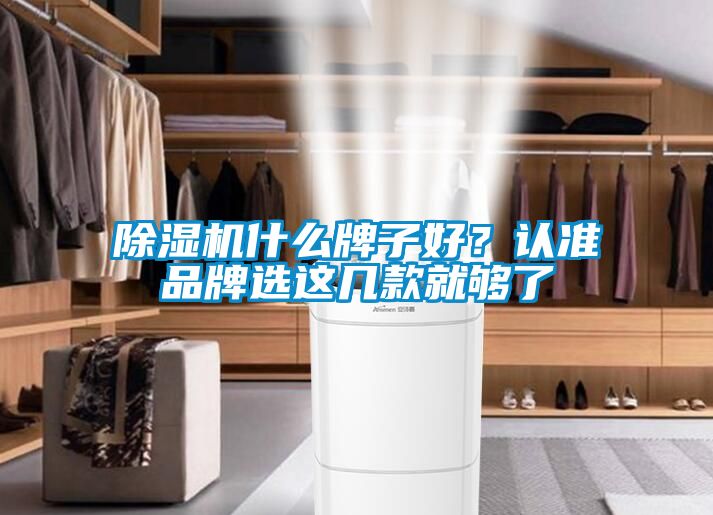 91抖音免费看片什么牌子好？认准品牌选这几款就够了