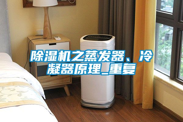 91抖音免费看片之蒸发器、冷凝器原理_重复