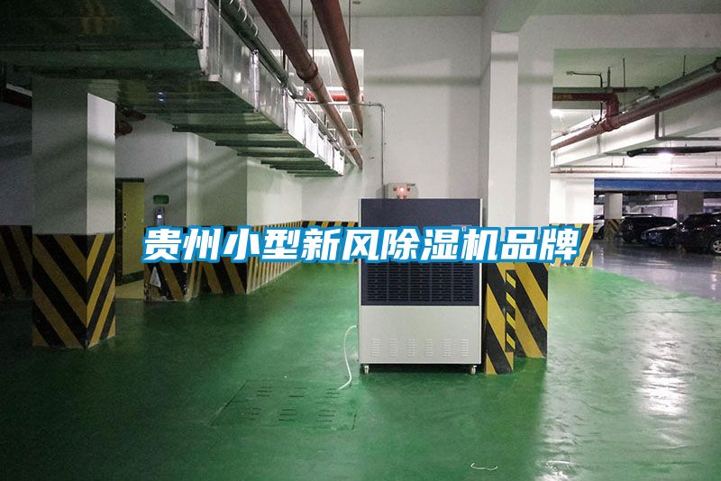 贵州小型新风91抖音免费看片品牌