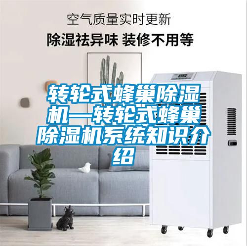 转轮式蜂巢91抖音免费看片—转轮式蜂巢91抖音免费看片系统知识介绍