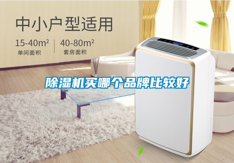 91抖音免费看片买哪个品牌比较好