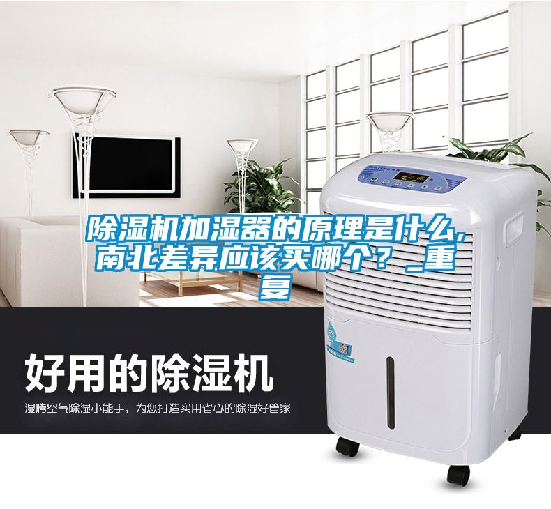 91抖音免费看片加湿器的原理是什么,南北差异应该买哪个？_重复